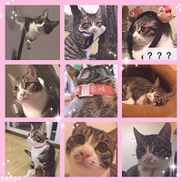 �±����˵ĳɳ���ˮ�ˣ�����ʱ���Сƨ������˷�լ��������