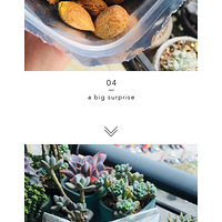 ȦԭһŪôʳ+ҵʳ桿