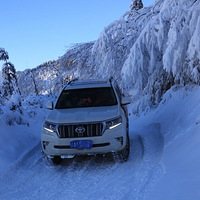 �������ķ�������