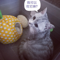 �Ҳ��Ǵ��ۣ�Ҳ������С����