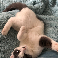 è�ã��Ѿ��������Ҽ�һ��