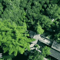 �ɶ����ݳ޷��ӣ�400�OլԺ30Ķɭ�֣�����ȴ��20Ԫ���¼�����