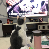 �ð� �����Ѿ���������������������뻬�衣����