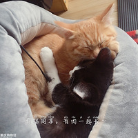 ���ٺ�Сý�ŵİ�������������ˡ�