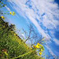 ס��ũ����������ջ���ǿ����Ͳ˻����滨�˰ɣ�
