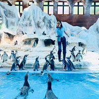 ��¼һ���������õĵ�һ�����Σ�˫��¡�Σ���