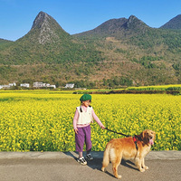 ���������ĸ�����+�����޹��꡿