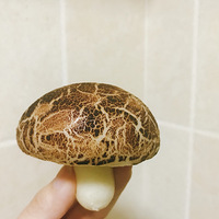 óһ㹽 By FannieС