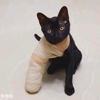 �Ȼ��ˣ���С�����Ǳ�����ʯ��󣬶���Щʲô����С�ɰ�