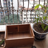 �����ڼ���ľ�����֮������