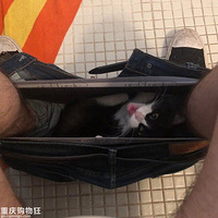 ʱ����˿��ӻ᳤è���Ŷ
