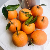 ش  |  ӶԵ زٵȣû֮һ