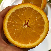 ҽԵóԵĳӣˮֳ㣬ϸۡ