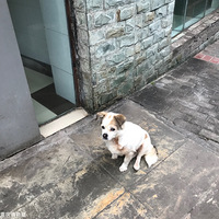 �����ô��������ô�࣬���������������������