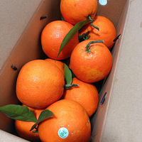 ǰֻ÷ȣû뵽شȾȻ۸ó