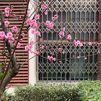 С�����컨�Ὺ��С�������ˡ�