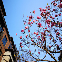 ��С�������ˡ�