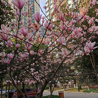 �λð�ĸо�������С��һ�ǡ�С�������ˡ�