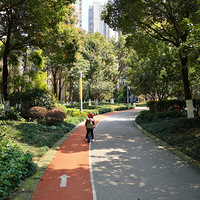 ������԰���С����������ȸ���Ү��+��С�������ˡ�