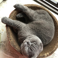 ���˾�˯��������������׷�󣬲�ʺ��ĪҪ��������