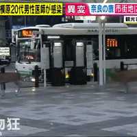 ���ͷ�����Ӱ�µ��ձ����˻�û����裬������С¹���Ѿ����Ʒ���