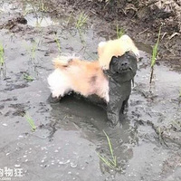 ��������ũ����꣬����Ҫ����������Ȼ���ַ��ӷŷ�����