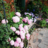 ��¥�������С��԰������ô���ڶ�ֵ�á�2020����̨������