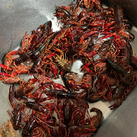 һСϺͷСϺˬ+ڼҲҪԺõ