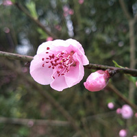 30꣬ƣ164ͷԼ򵥡 ֫ 