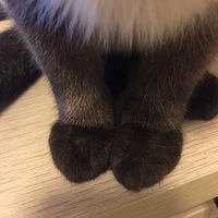 ���������ְ�̫ɥ�ˣ����۾��飬�����ҼҶ���ϴ�۾�~