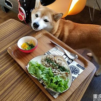 ̰�Բ�Ȯ��ʳ��ϣ��ൽ���������Ѵ���ɰ��������Ժ󻹸�͵��ô