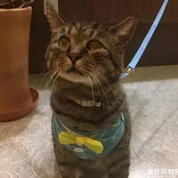 �껨è�Գɡ���������16������������ƣ����˱�������������