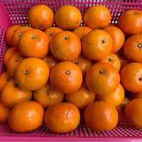 ڼԵ˳ˮֺóԵˮڼҲҪԺõġ