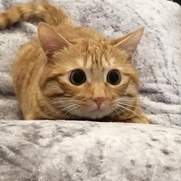 ѽ�����ǽ���ù�Ӵ��