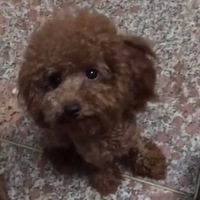 Ѱ�Ҷ�ʧ�����棬���Ұ�æ������