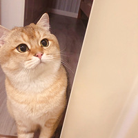 ���ཿɰ�һ��𽥲�è�ܵ�����