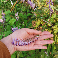 �������ˣ���ũ����Ѱ����