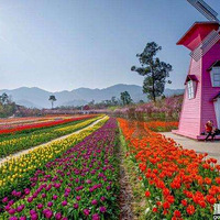 ��Ĳز�ס�����������·�ȥ�����ͻ������