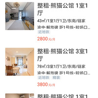 �����ϰ�������Ⱥ�����ϵ�����è���ݸ���� ҪЮ���ϲ���