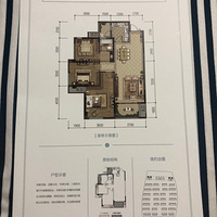 2020�깺�·�����԰¹������ƺ�ĸ�λ�÷���㣿