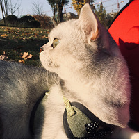 ������һ˧Ӣ�̣������㣬�ܵܣ�����ż������