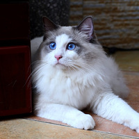 ��ż�ܵܳ����ˣ�����ӭ���˵�һ��Ů���ѣ�ɫ�����죬֮������