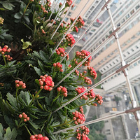 СС��̨2020��2020����̨������