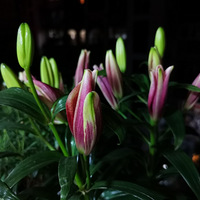 ��ů��������Ҳ��˵˵�ҼҵĻ����ǡ�