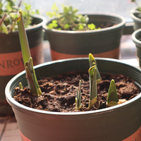 һ��֮�����ڴ���2020����̨������