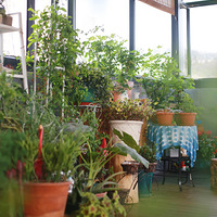 ����С�׵���԰�ǡ�2020����̨������