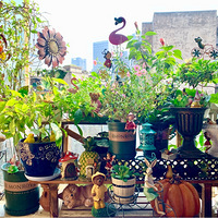 СС��̨�ִ��죬ϴ�����¶๦�ܡ�2020����̨������