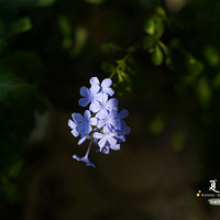 һ��һ���磬��¼��Щ������ҵ���Щ�����ǣ�