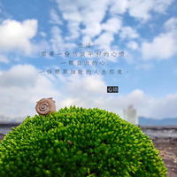 ¥����԰+��̨��԰=�ο�ʼ�ĵط���2020����̨������