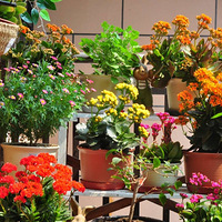 С��̨�Ĵ��졾2020����̨������